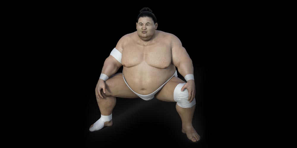 Sumo Betting, Sumo odds, Sumo bets, Bet on Sumo, Weird Sports, weird betting odds, bet on weird sports