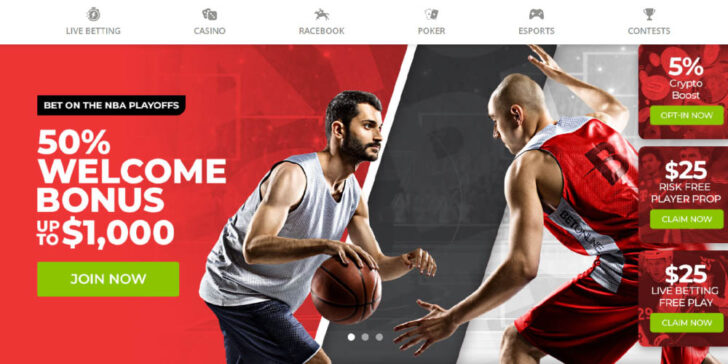 Review about BetOnline Sportsbook | US players accepted | GamingZion