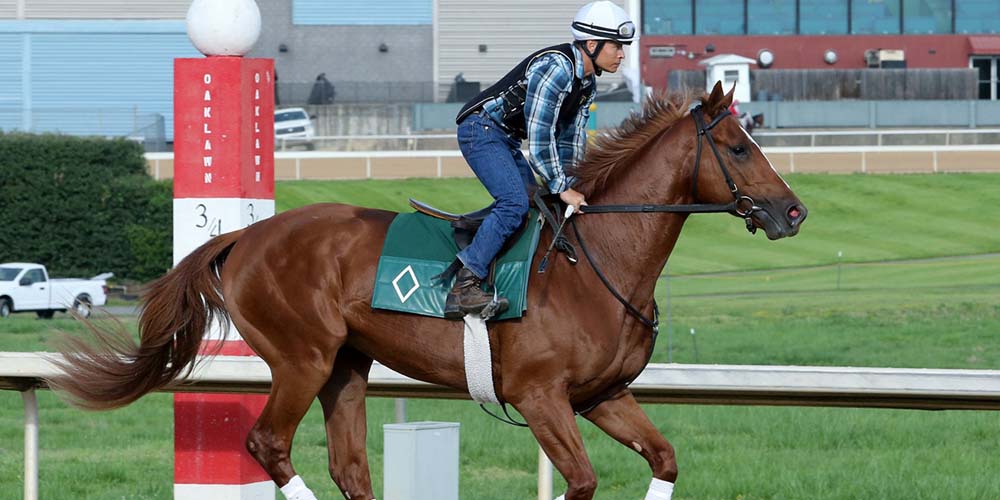 2019 Preakness Stakes Odds