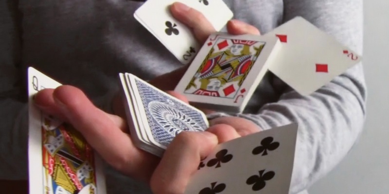 card shark meaning