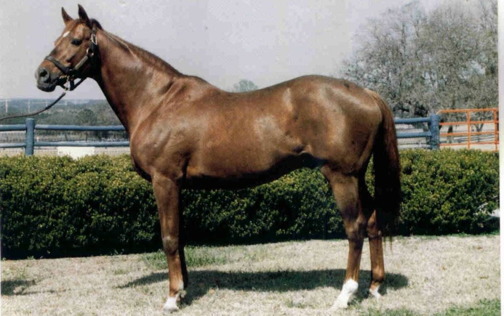  greatest racehorse, greatest racehorse in history, internet betting, online betting, Secretariat, The Belmont Stakes, triple crown winner, unbeaten horse, racing record