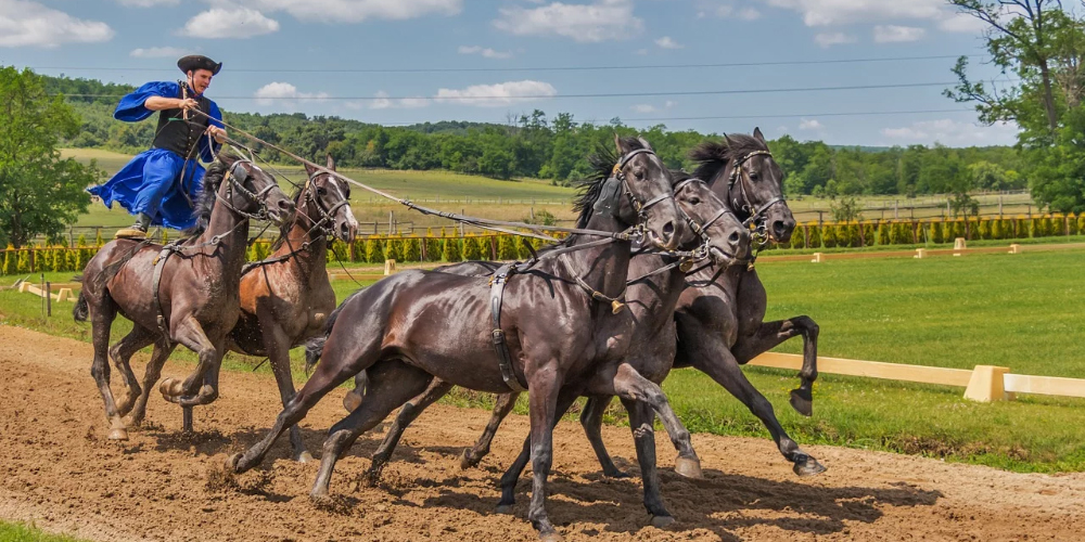 Horse racing has been there in mankind since forever