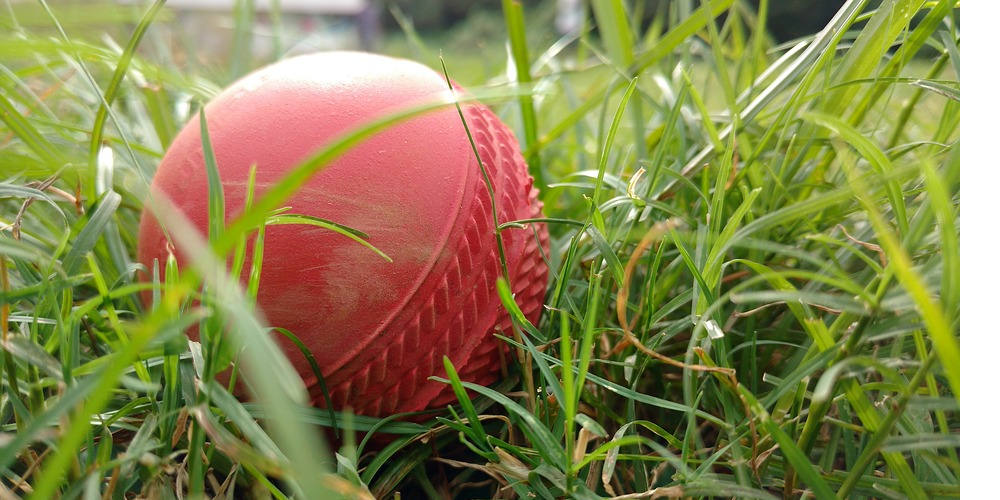 catch a cricket ball, cricket betting, GamingZion.com, online betting, Online betting in the UK, online gambling, online sports books in the UK, watching the grass grow