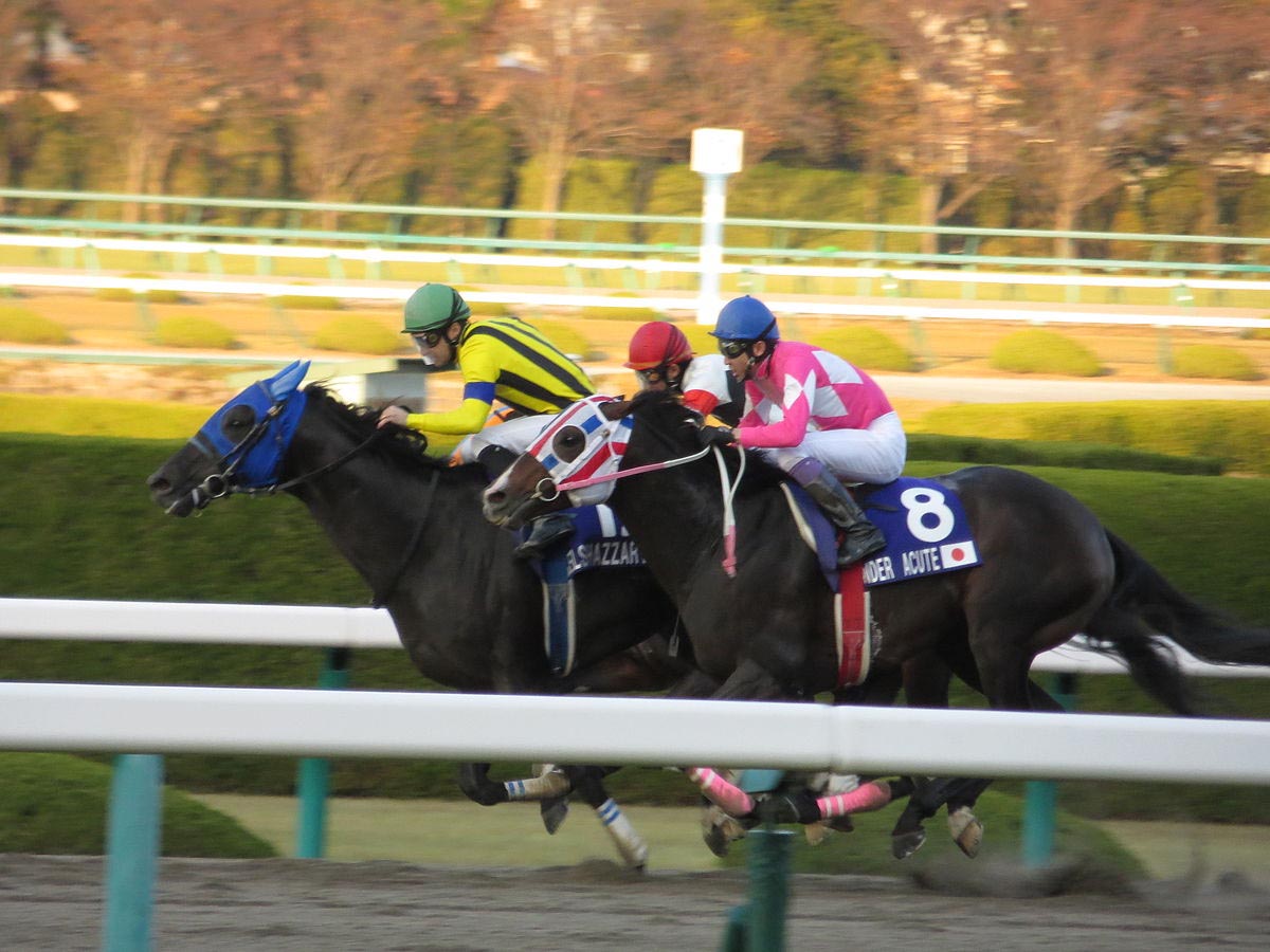 13+ Horse racing odds japan best strategy