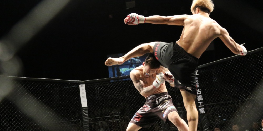 MMA Betting Guide